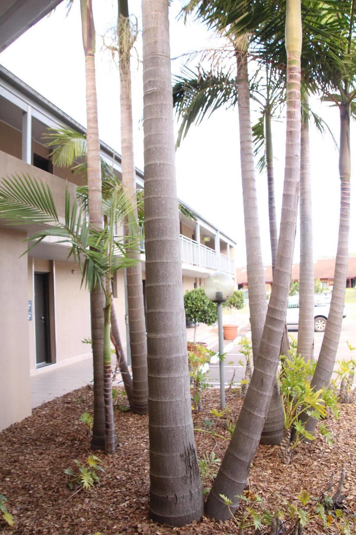 The Galaxy Motel Gosford Exterior foto